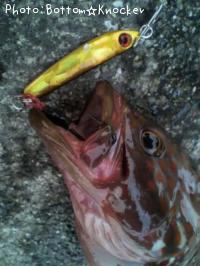 �����ϥ�