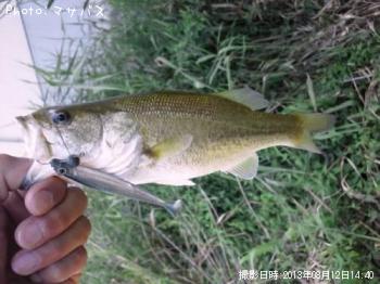 �֥�å��Х�