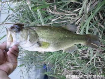 �֥�å��Х�