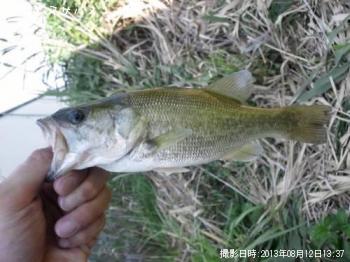 �֥�å��Х�