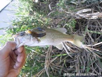 �֥�å��Х�