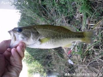 �֥�å��Х�