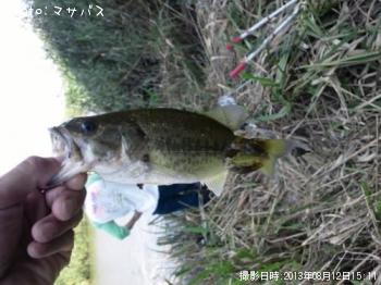 �֥�å��Х�