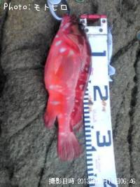 �����ϥ�