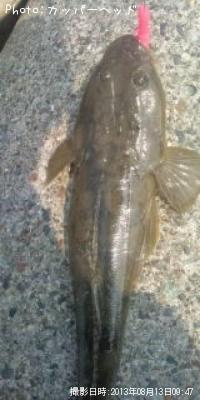 �ޥ���