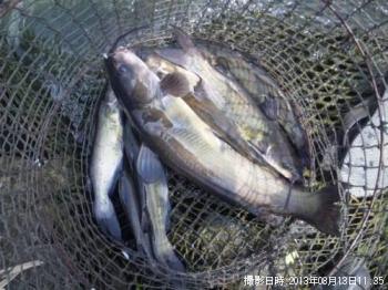 ����åȥե��å���