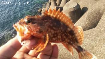 ¥«¥µ¥´¡õ¥¥¸¥Ï¥¿