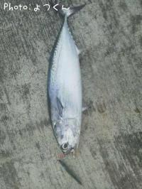 �ҥ饽����