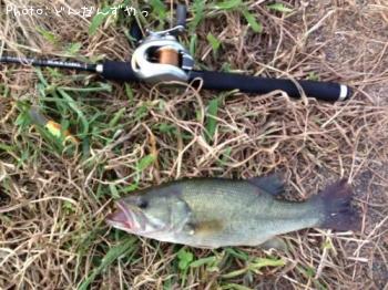 �֥�å��Х�