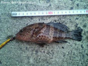 �������ϥ�