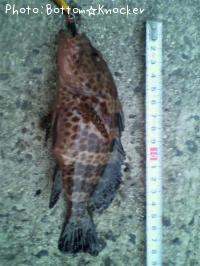 �������ϥ�