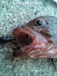 �������ϥ�