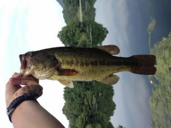 ¥Ö¥é¥Ã¥¯¥Ð¥¹