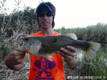 �֥�å��Х�