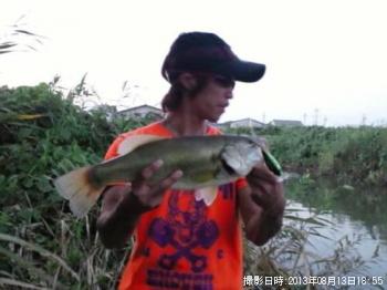 ¥Ö¥é¥Ã¥¯¥Ð¥¹