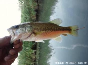 �֥�å��Х�