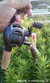 ¥Ö¥é¥Ã¥¯¥Ð¥¹