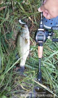 �֥�å��Х�