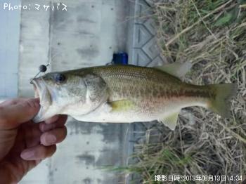 ¥Ö¥é¥Ã¥¯¥Ð¥¹