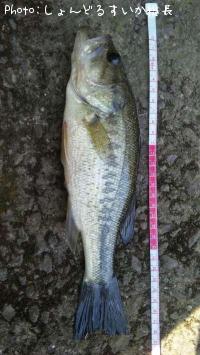 �֥�å��Х�