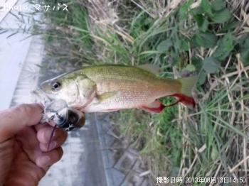 ¥Ö¥é¥Ã¥¯¥Ð¥¹