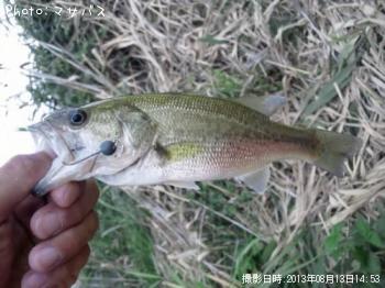 �֥�å��Х�