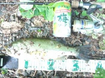 �֥�å��Х�