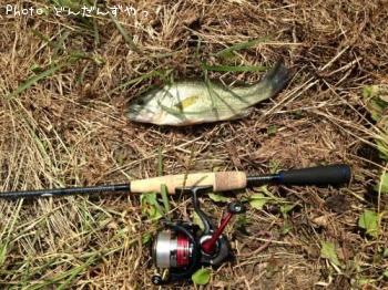 �֥�å��Х�