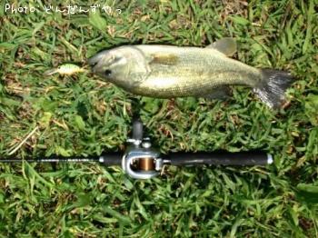 �֥�å��Х�