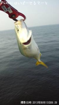 �參��