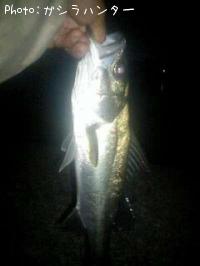 �����Х�