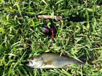 ¥Ö¥é¥Ã¥¯¥Ð¥¹