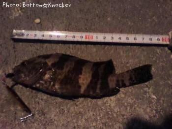 �������ϥ�