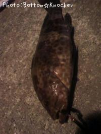 �������ϥ�