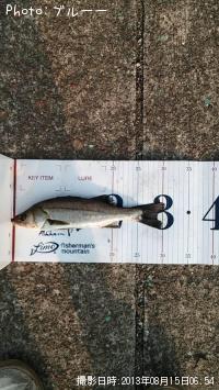 �����Х�