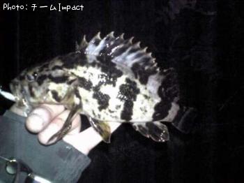 �����Υ���Х�