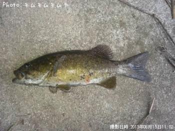 ���⡼��ޥ����Х�