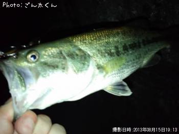 ¥Ö¥é¥Ã¥¯¥Ð¥¹