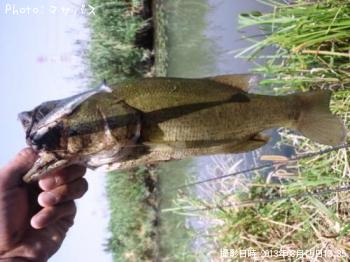 ¥Ö¥é¥Ã¥¯¥Ð¥¹