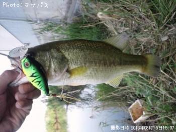 �֥�å��Х�