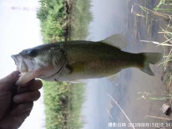 ¥Ö¥é¥Ã¥¯¥Ð¥¹