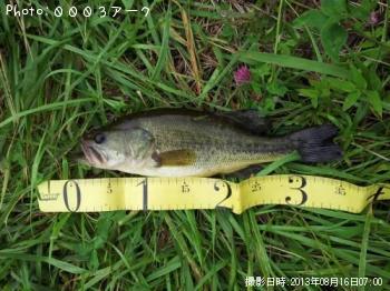 �֥�å��Х�