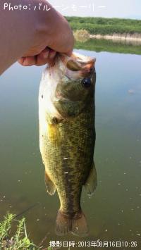 �֥�å��Х�