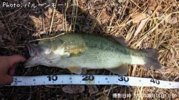 �֥�å��Х�