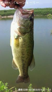 �֥�å��Х�