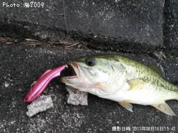 ¥Ö¥é¥Ã¥¯¥Ð¥¹