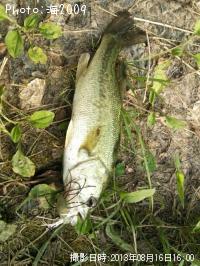 ¥Ö¥é¥Ã¥¯¥Ð¥¹