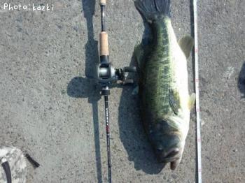 �֥�å��Х�