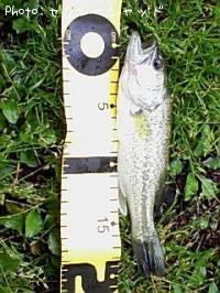 �֥�å��Х�