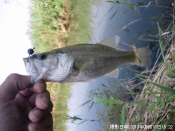 ¥Ö¥é¥Ã¥¯¥Ð¥¹